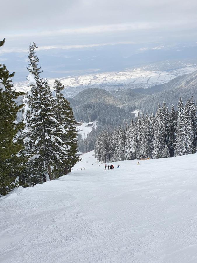 Spacious And Cosy Apartment In Bansko Royal Towers Complex المظهر الخارجي الصورة